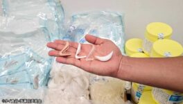 未承認の美容用シリコン摘発 都内クリニック20カ所に提供 - ワイズデジタル【タイで生活する人のための情報サイト】