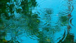 9月20日まで雨天続く バンコク降水確率80%、激しい雨に警戒 - ワイズデジタル【タイで生活する人のための情報サイト】