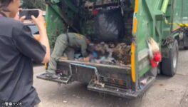 アパート前のゴミ山から 新生児の遺体発見 - ワイズデジタル【タイで生活する人のための情報サイト】