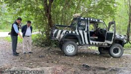 サファリワールドの飼育員 ライオン5匹に襲われ死亡 - ワイズデジタル【タイで生活する人のための情報サイト】