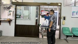 知り合いからもらったキノコ食べ 中毒症状を発症し、2人死亡 - ワイズデジタル【タイで生活する人のための情報サイト】