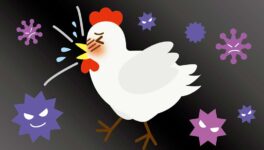 9月に警戒すべき感染症、統計発表 13カ国渡航者に鳥インフルエンザ警戒 - ワイズデジタル【タイで生活する人のための情報サイト】