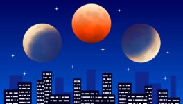 9月7日深夜〜8日未明 タイ全土で皆既月食観測可能 - ワイズデジタル【タイで生活する人のための情報サイト】