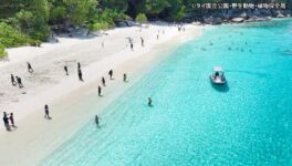 シミラン諸島とスリン諸島 10月15日から観光再開 - ワイズデジタル【タイで生活する人のための情報サイト】