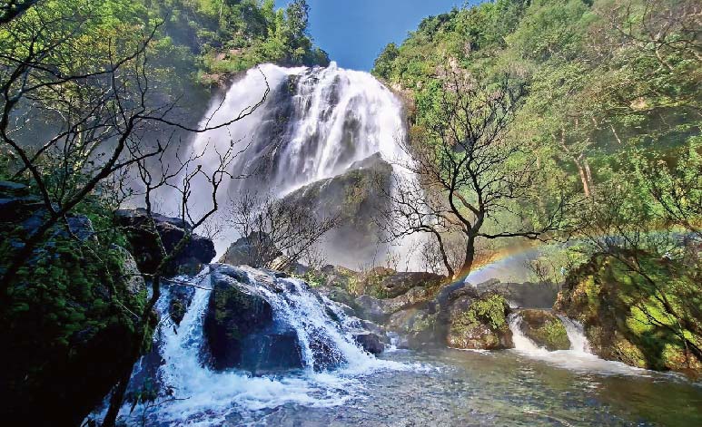 「プラーイ・フォン・トン・ナーオ」と呼ばれる季節 - ワイズデジタル【タイで生活する人のための情報サイト】