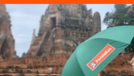 パンダバスがアユタヤ遺跡に傘寄付 - ワイズデジタル【タイで生活する人のための情報サイト】