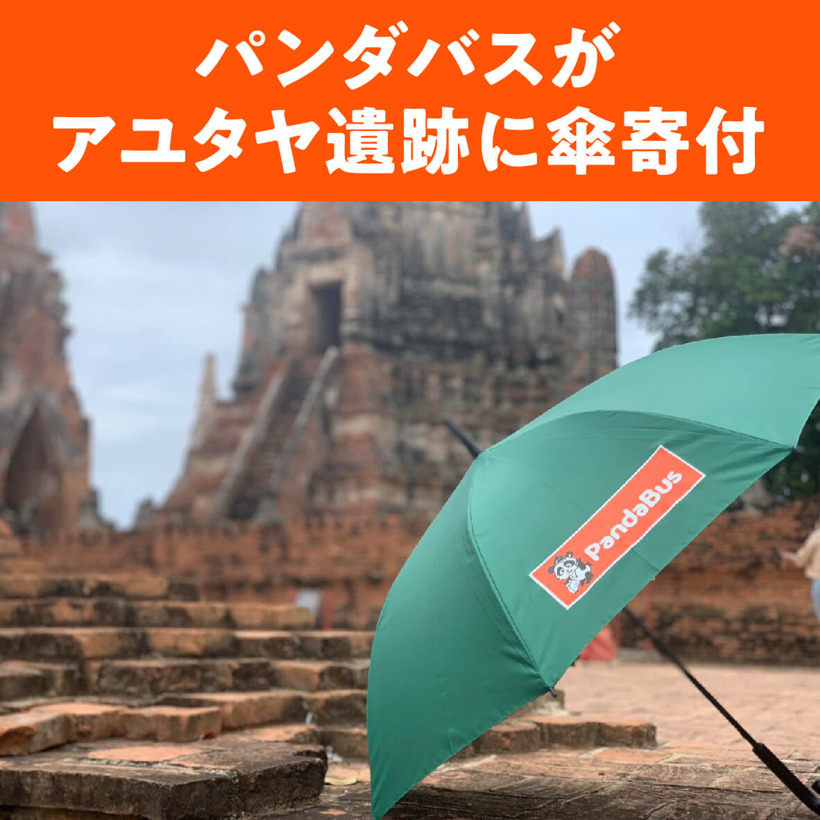 パンダバスがアユタヤ遺跡に傘寄付 - ワイズデジタル【タイで生活する人のための情報サイト】