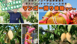 パンダバス バンコク支店 / 年末年始は、特別な旅へ。 - ワイズデジタル【タイで生活する人のための情報サイト】