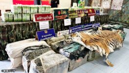ラオスから違法薬物密輸 密猟したトラ皮の剥製も発見 - ワイズデジタル【タイで生活する人のための情報サイト】