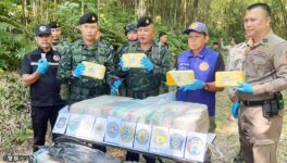 ミャンマー国境地帯の森林で　国境警備隊と薬物密輸組織が衝突 - ワイズデジタル【タイで生活する人のための情報サイト】