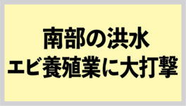 洪水でエビ養殖業に大打撃　被害総額は10億B以上 - ワイズデジタル【タイで生活する人のための情報サイト】