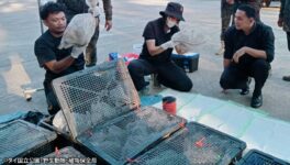 密輸したカニクイザル63匹を救出　カンボジア人の男逮捕 - ワイズデジタル【タイで生活する人のための情報サイト】