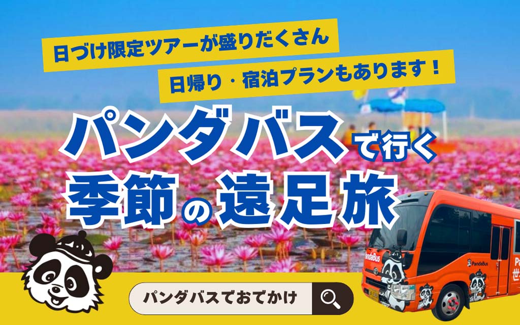 パンダバス バンコク支店 / 年末年始は、特別な旅へ。 - ワイズデジタル【タイで生活する人のための情報サイト】