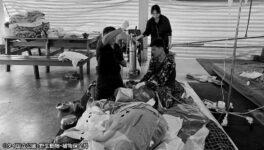 治療中だった子ゾウ「カオトム」　急性肝不全により息を引き取る - ワイズデジタル【タイで生活する人のための情報サイト】