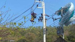 ラン島でパラグライダー事故　外国人男性が高圧電柱に引っかかる - ワイズデジタル【タイで生活する人のための情報サイト】