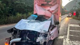 カオヤイ周辺で車が象に衝突　運転手重傷、象の容態は不明 - ワイズデジタル【タイで生活する人のための情報サイト】