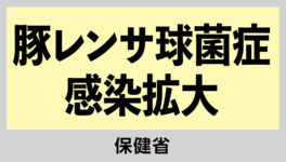 東北部で豚レンサ球菌症感染拡大　2025年は93人感染、13人死亡 - ワイズデジタル【タイで生活する人のための情報サイト】