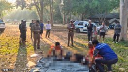 カオヤイ国立公園で　野生象がキャンプ客を襲う - ワイズデジタル【タイで生活する人のための情報サイト】