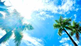 2月22日から暑季入り　最高気温42～43℃ - ワイズデジタル【タイで生活する人のための情報サイト】