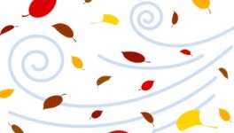 2日〜4日は気温低下　首都圏で朝方冷え込む - ワイズデジタル【タイで生活する人のための情報サイト】