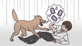 ラヨーン県で今年初の　狂犬病による死亡者確認 - ワイズデジタル【タイで生活する人のための情報サイト】