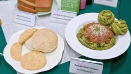 カセサート大学の大学祭 「カセフェア」って？ - ワイズデジタル【タイで生活する人のための情報サイト】