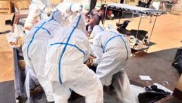 2カ所のタイガーパークで72頭のトラが相次いで死亡　大量死に至った、その原因とは… - ワイズデジタル【タイで生活する人のための情報サイト】