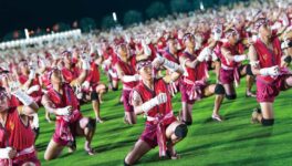 ムエタイ記念の日にイベント開催 Amazing MuayThai Festival 2026 - ワイズデジタル【タイで生活する人のための情報サイト】