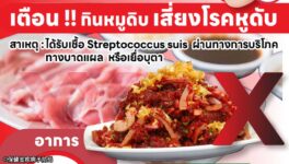 豚レンサ球菌感染症拡大 28県で49人感染、3人死亡 - ワイズデジタル【タイで生活する人のための情報サイト】