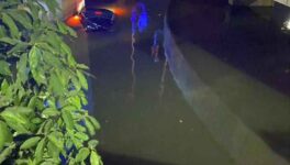 高速道路から池に転落 Uターン地点で制御不能に - ワイズデジタル【タイで生活する人のための情報サイト】