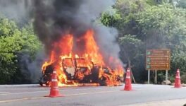 カオヤイ国立公園で車が炎上　ガス併用車、エンジン過熱か - ワイズデジタル【タイで生活する人のための情報サイト】