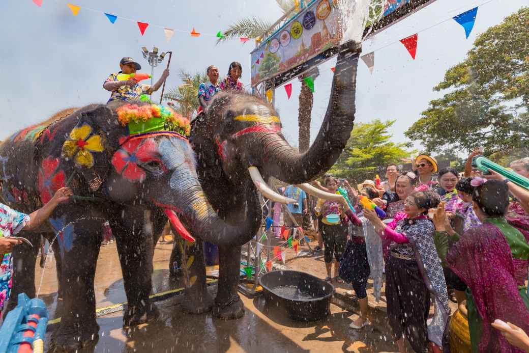 アユタヤでゾウと水掛け　古都を彩るダイナミックな正月 - ワイズデジタル【タイで生活する人のための情報サイト】