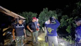 野生の象が果樹園を襲撃　女性従業員が象に踏まれ死亡 - ワイズデジタル【タイで生活する人のための情報サイト】