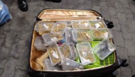 空港でマレーシア人男逮捕　スーツケースから200匹以上の密輸動物 - ワイズデジタル【タイで生活する人のための情報サイト】