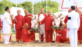 王室農耕祭で今年の吉凶占う　聖牛は豆・水・草・酒を選択 - ワイズデジタル【タイで生活する人のための情報サイト】