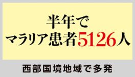 半年でマラリア患者5126人　1人死亡、西部国境地域で多発 - ワイズデジタル【タイで生活する人のための情報サイト】