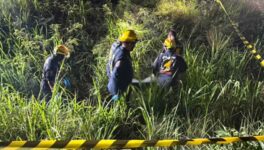 スーツケースに未成年遺体発見　オーストラリア人の男を空港で逮捕 - ワイズデジタル【タイで生活する人のための情報サイト】