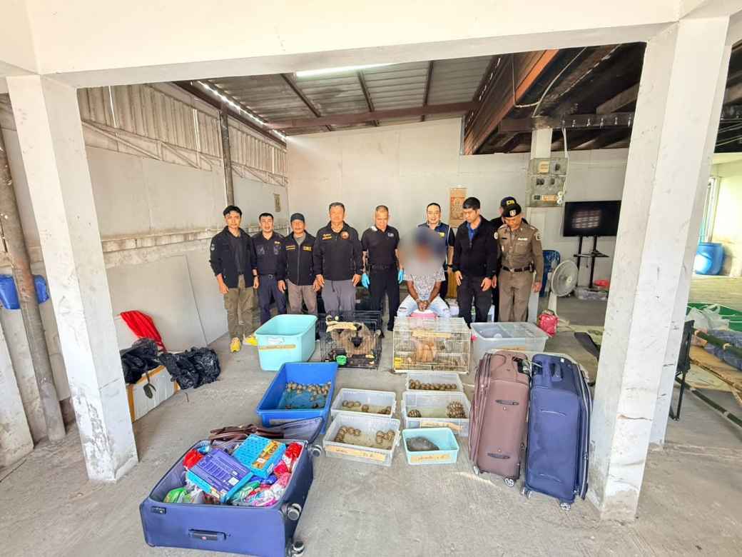 国際野生動物密輸のインド人4人逮捕 都内民家でテナガザルなどを押収