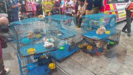 都内タウンハウスで火災発生 夫婦2人と飼い猫30匹死亡 - ワイズデジタル【タイで生活する人のための情報サイト】
