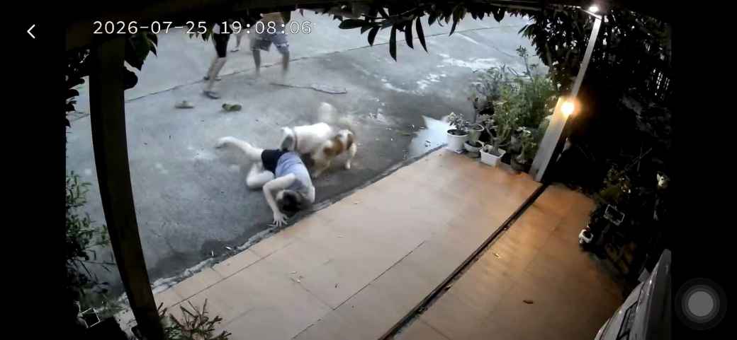 「ゴミを燃やす隣人」と「番犬2匹」 大学教授が首を噛まれる騒動に発展