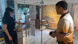 チェンマイの動物カフェで　観光客が子ライオンに噛まれ、当局が調査　 - ワイズデジタル【タイで生活する人のための情報サイト】